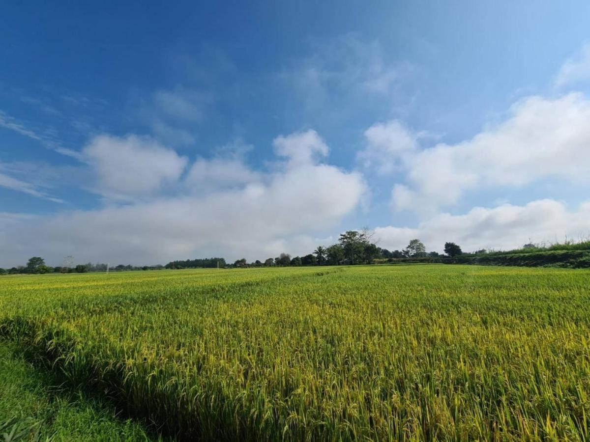 Ha Me Garden ฮามีการ์เด้น โฮมสเตย์ฝาง Farm stay *